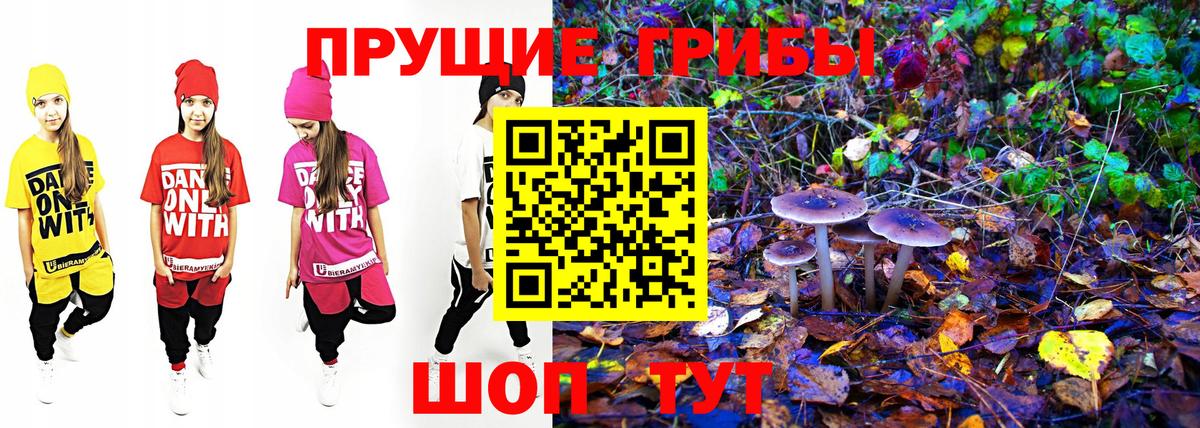 Галлюциногенные грибы GOLDEN TEACHER  Галлюциногенные грибы мухоморы  Сибай  Вход с VPN 